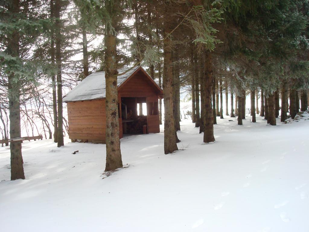 Guest House Sumski Dvor Vrhovine Екстериор снимка